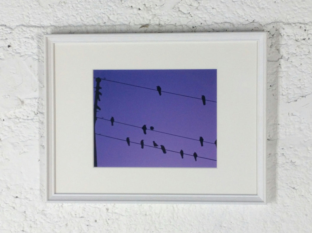 2027 Sunset Birds Power Line Purple