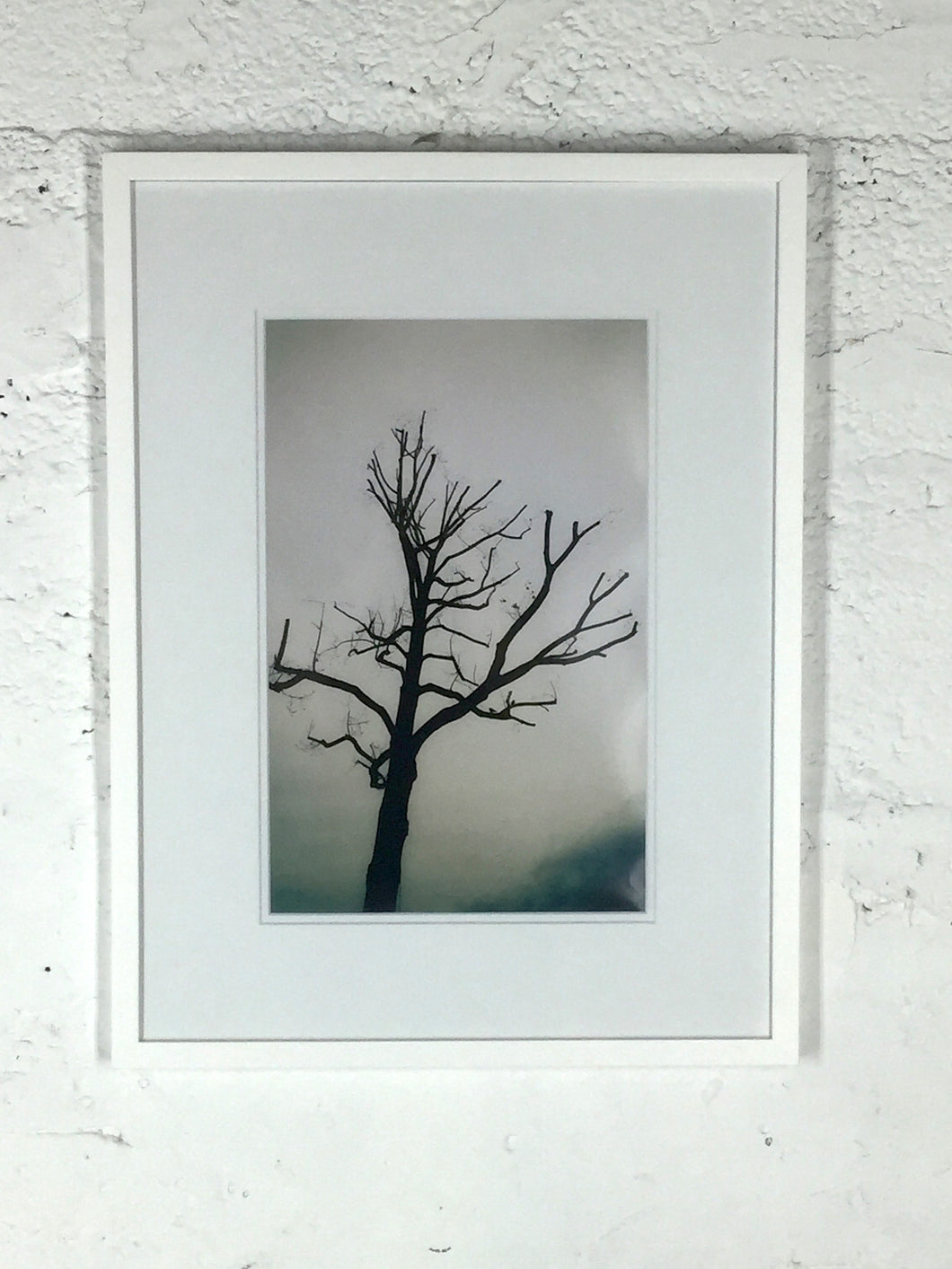 2050 Tree Against Cloudy Background White Frame Matte