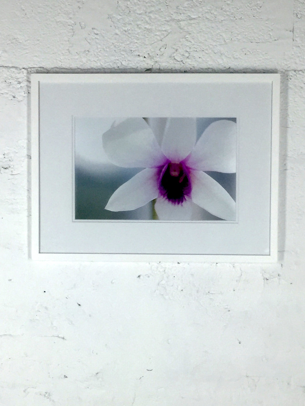 2055 Detail of Flower White and Purple White Frame Matte Color Photo
