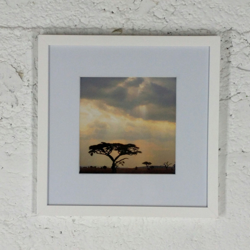 2118 Serengeti  Plain at Sunset Color Photo