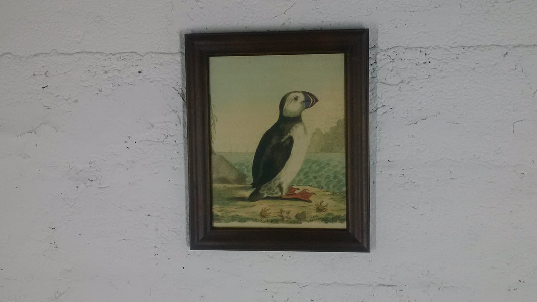 5032 Painting of a Puffin