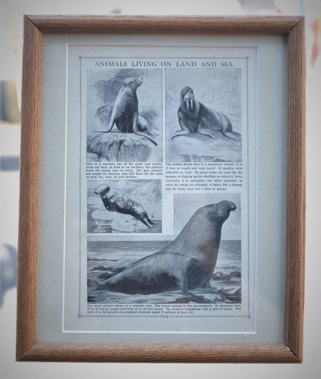 1040 Magazine Insert About Seals ca 1920's