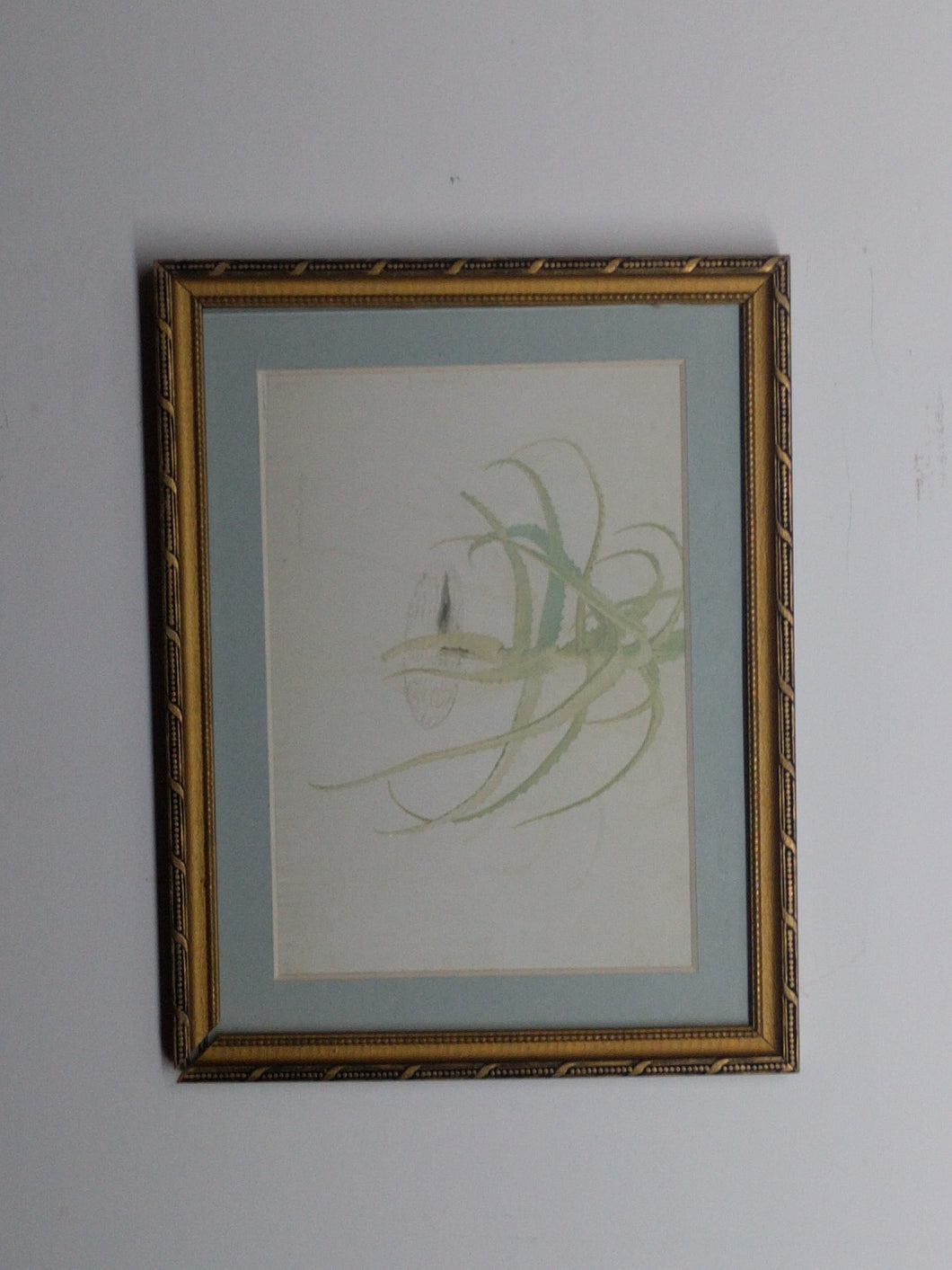 5075 Watercolor Paintings of Plants on Paper