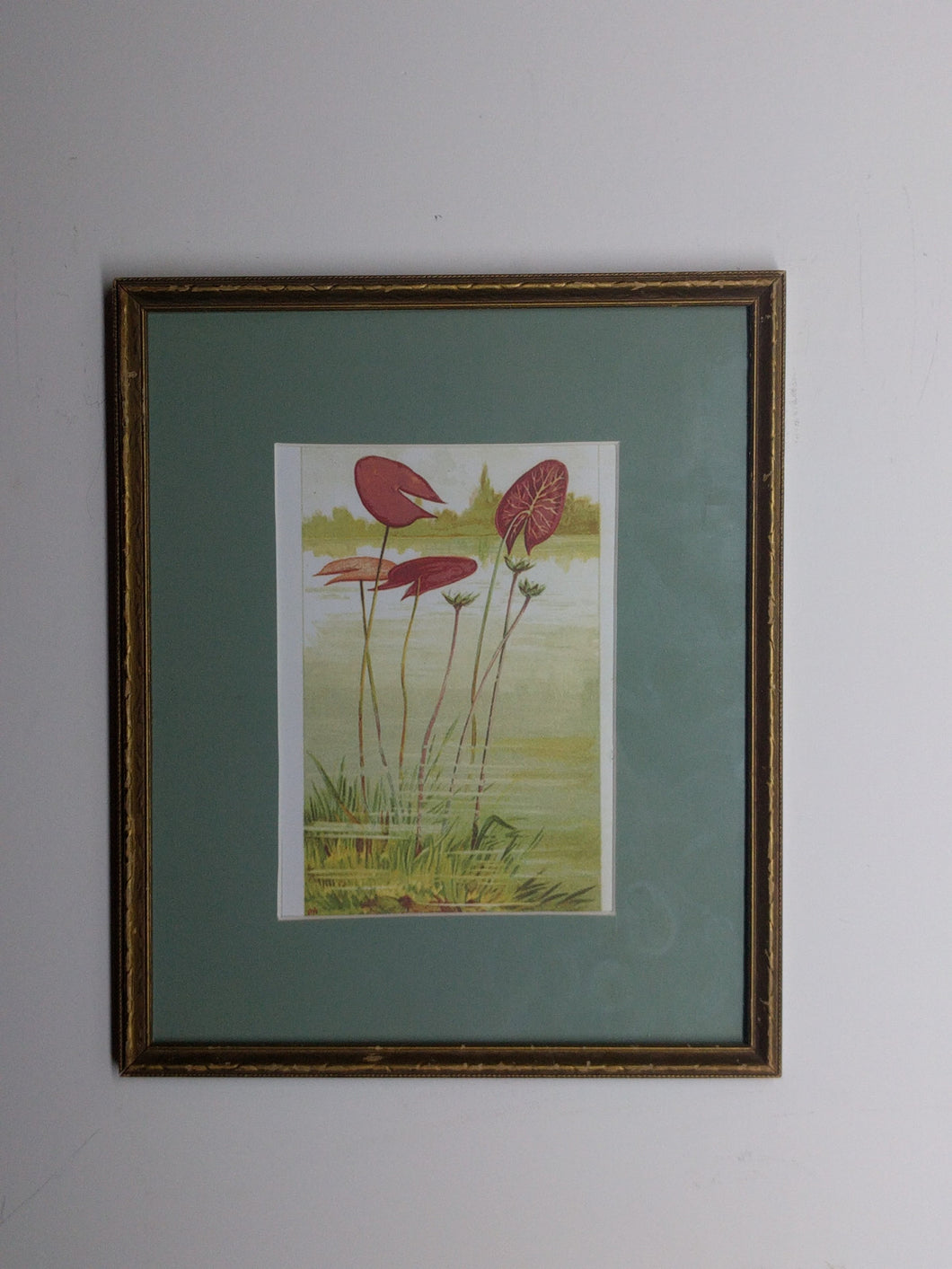 5082 Painting of Water Lillies Red