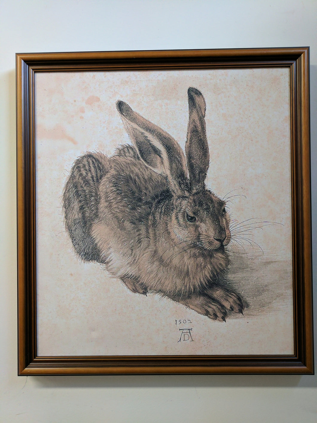 J-1005 Fine Detail Pencil Portrait of Rabbit