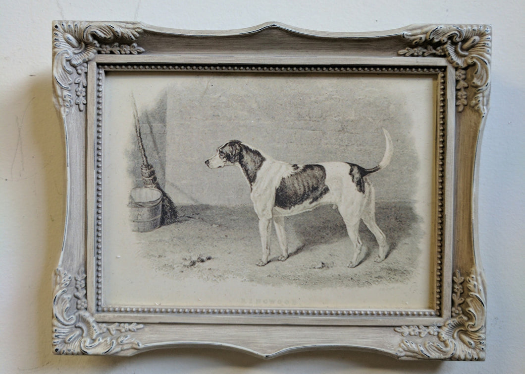 5094 Small Detail of Dog Silver Frame